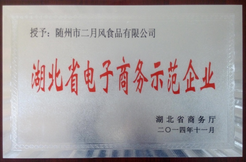 電子商務(wù)示范企業(yè)_副本.jpg