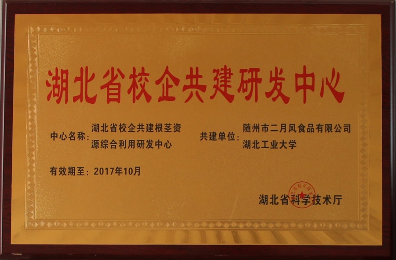 湖北省校企共建研發(fā)中心_副本.jpg