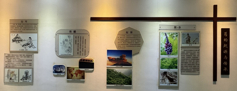 葛的起源與傳承.jpg