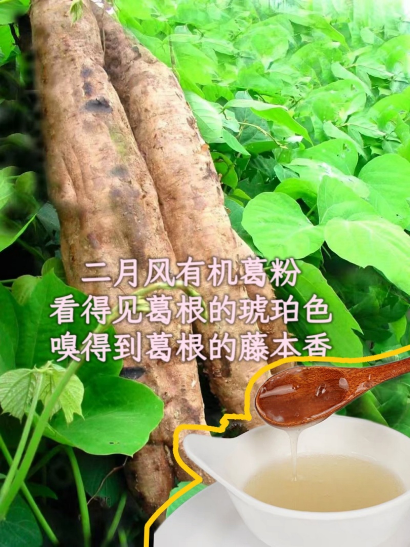 二月風(fēng)有機(jī)葛粉，看得見(jiàn)葛根的琥珀色，嗅得到葛根的藤本香_800.jpg