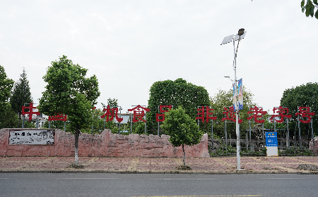 當(dāng)定制葛粉時(shí)，我們真正在選擇什么？